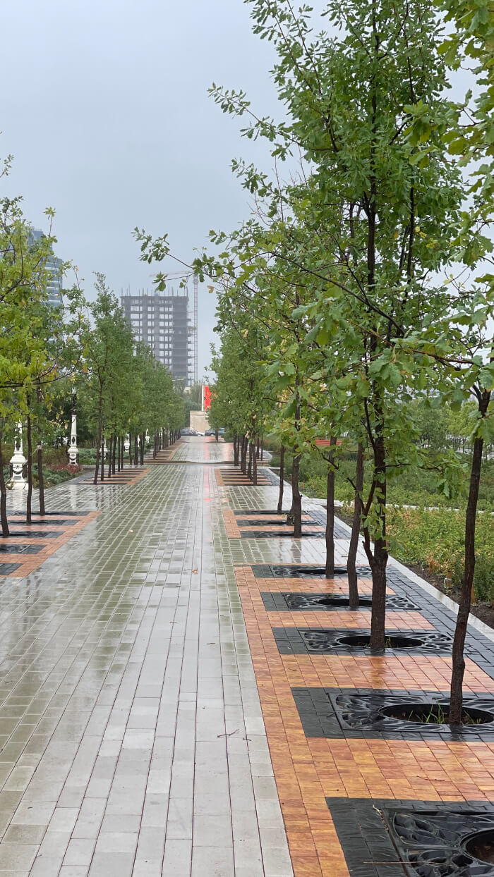 Приствольная решетка для дерева ZKING CRUST 1.2х1.2м Черная в Копейске фото