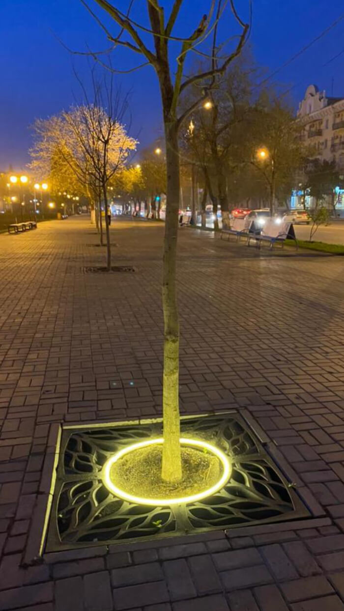 Приствольная решетка для дерева ZKING CRUST 1.2х1.2м Черная в Копейске фото